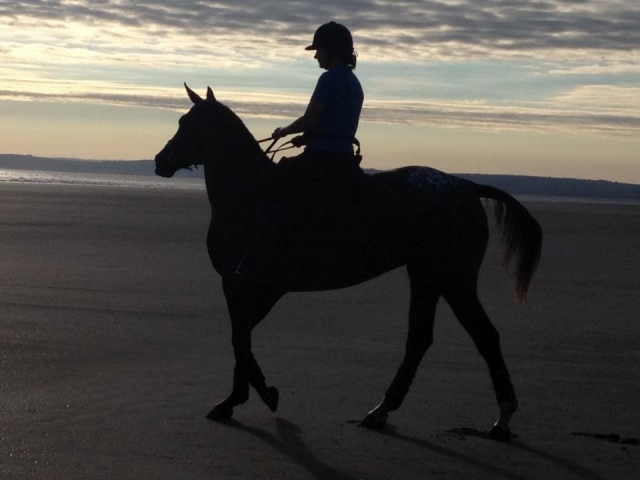  Camicrema a la playa con Pembrey Park 