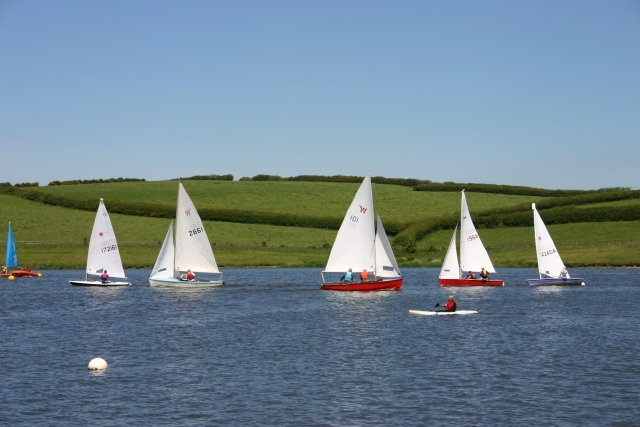  Otras actividades en Siblyback 