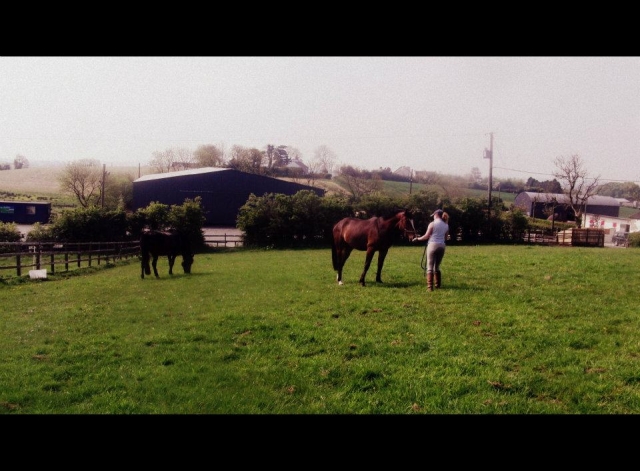  Algunos de nuestros potreros de participación 