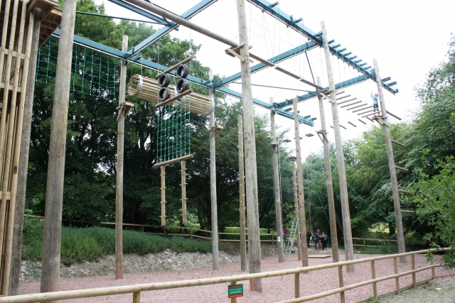  Desde el departamento 