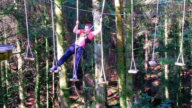  Obstáculos de árboles 