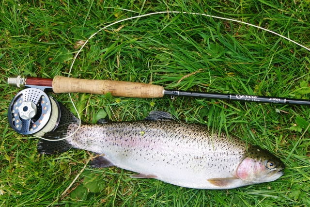  Pesca de truchas 