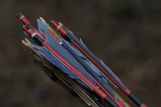  Flechas esperando acción 