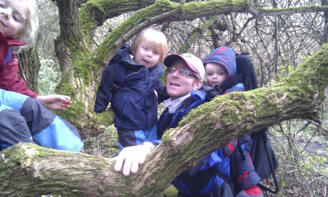  Escalada de árboles 