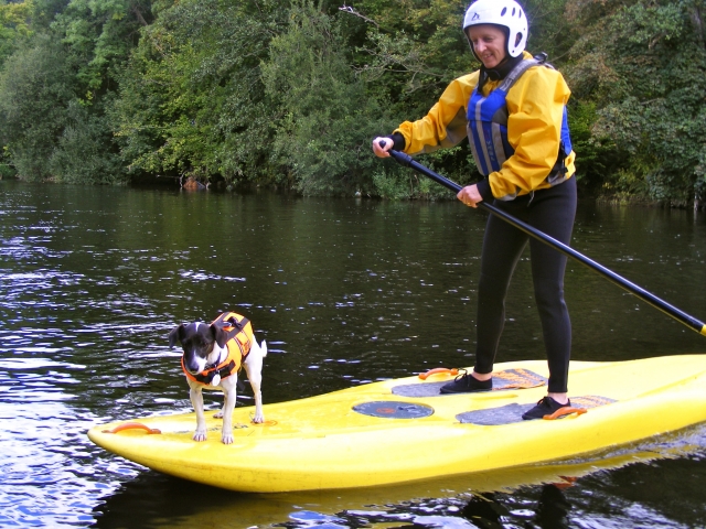  ¡Doggie SUP! Llangollen 