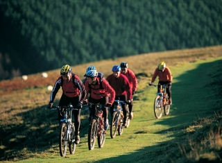 Hopyard Cycles