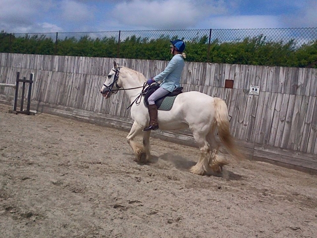 Doma clásica cerrada en Divoky Riding School