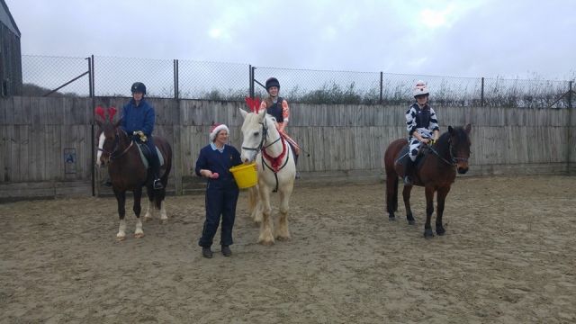 Hackeo en Divoky Riding School