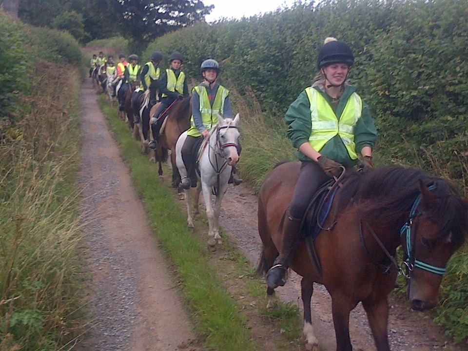 Hackeo en Divoky Riding School   Hackeo en Divoky Riding School