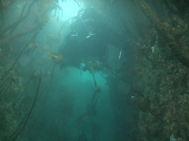  Una experiencia que no debe perderse. 