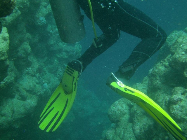  Enseñando todos los cursos PADI en un entorno emocionanle y fascinanle.