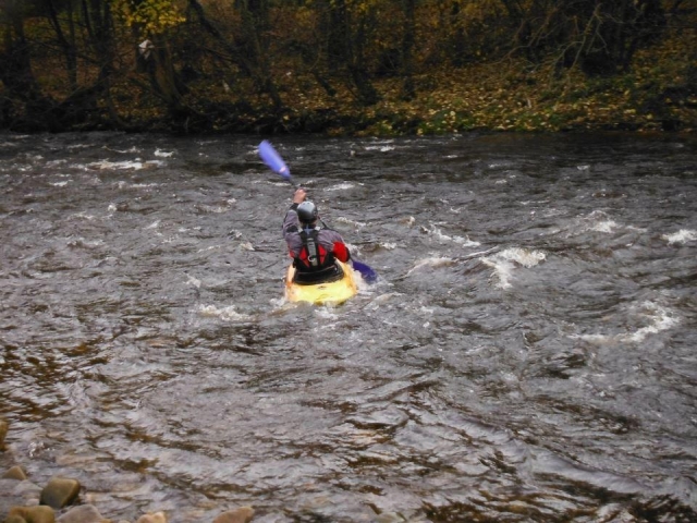  Aprende nueva habilidades 