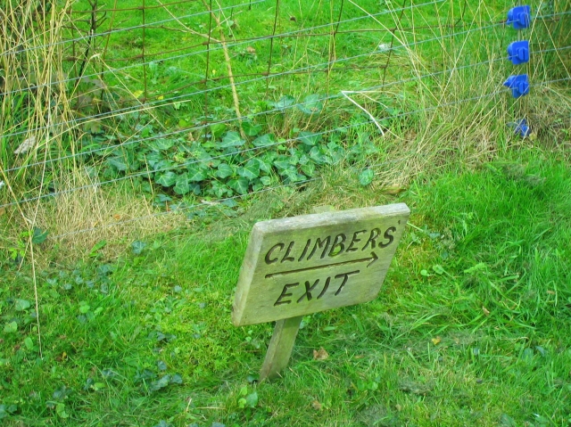  Aprovecha al máximo el aire libre. 