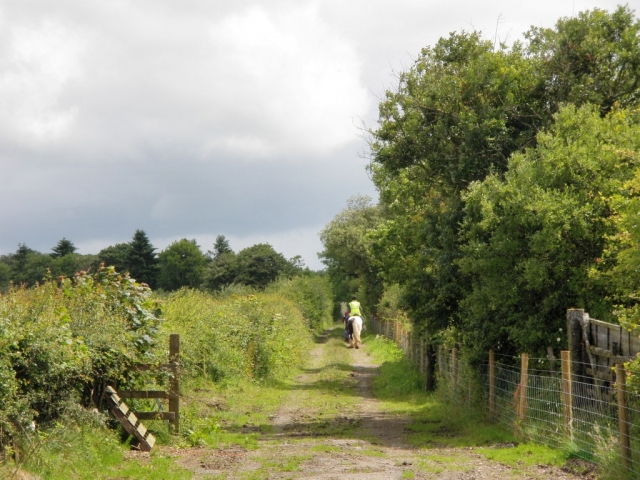  Subir a caballo en el condado de Ruby 