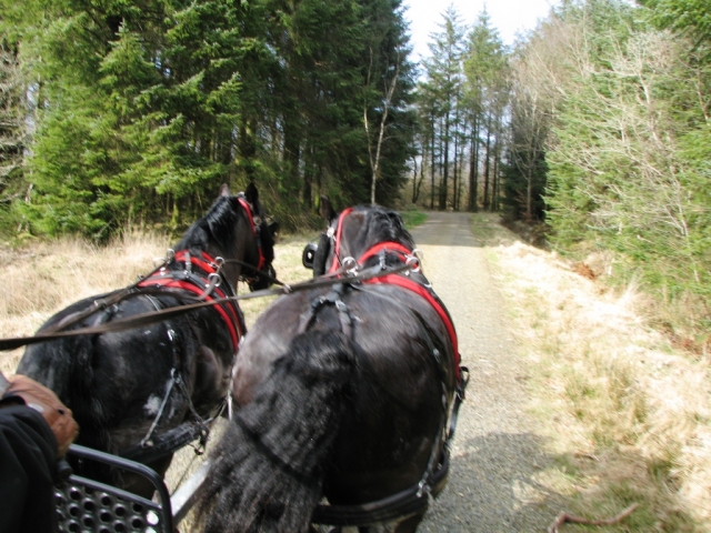  Conducción de carruajes en Ruby Country. 
