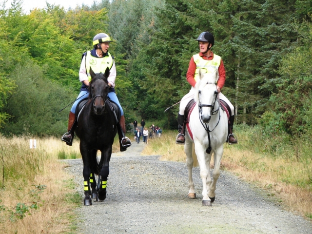  Muchos senderos diferentes para probar. 