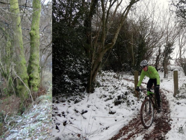  Renta de bicicletas en Brecon Beacons.