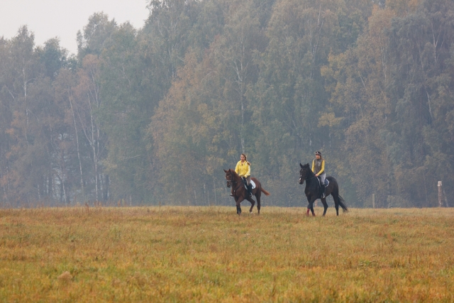  Open Hacking en Fly Laithe Stables 