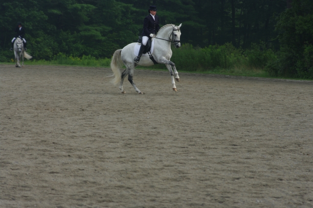  Cursos de doma en Fly Laithe Stables