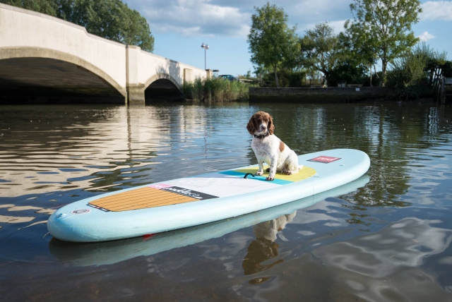  Pbaños encantadores