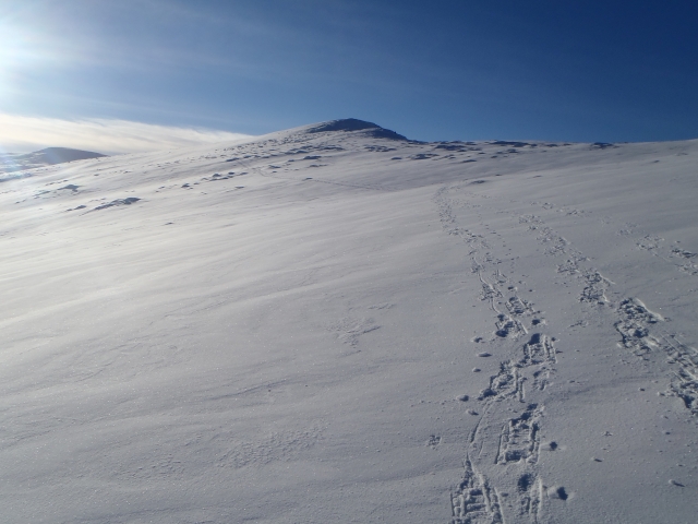  ¿Esto es para usted? 