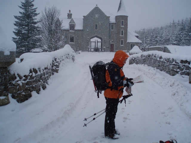  Inicio de una camicrema de Munro winer 