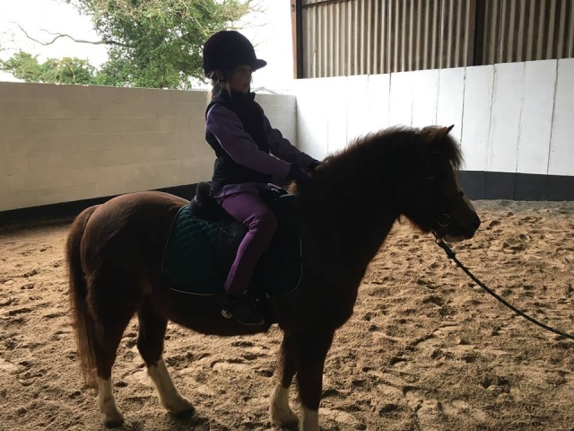  Lecciones para principiantes en The Horse Activity Center. 