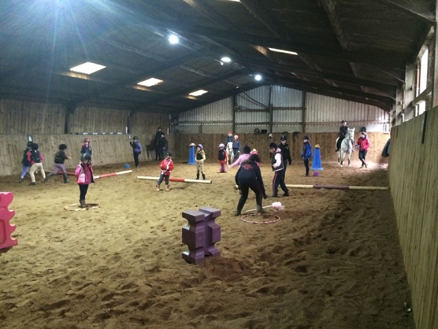  Actividades divertidas en The Horse Activity Center