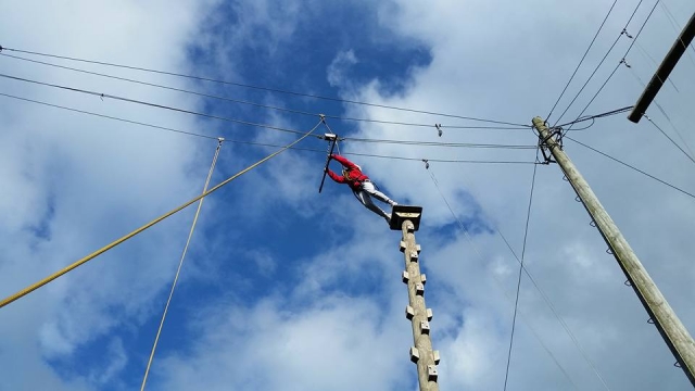  Cuerdas altas primarias y secundarias 