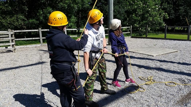  ¡Un poco de ayuda para tus amigos! 