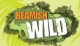 Beamish Wild