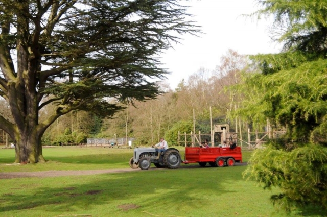  ¿Quién quiere dar un paseo? 