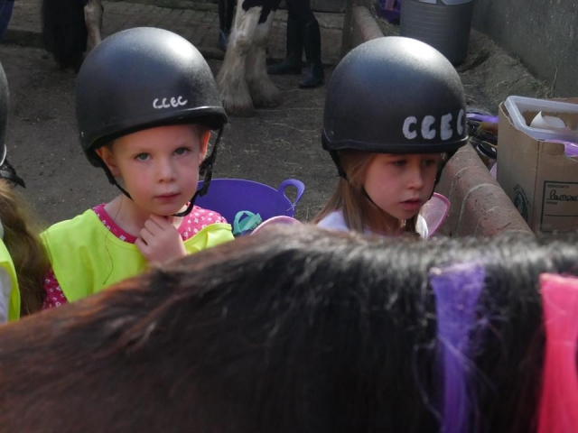 ¡Aprendiendo sobre caballos!