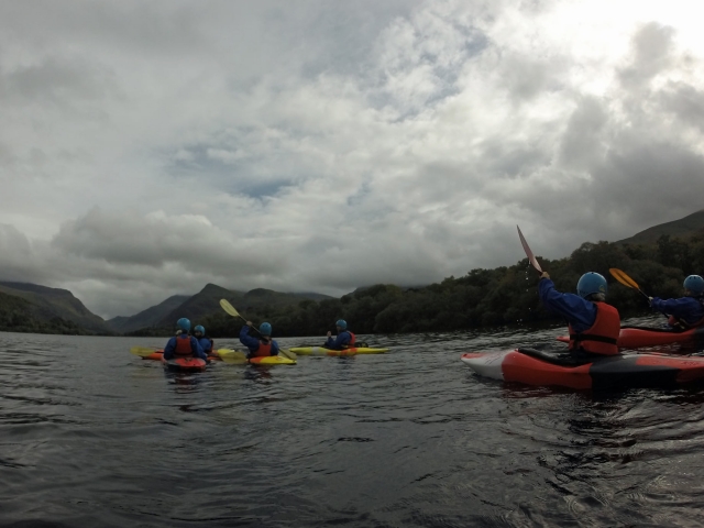  Kayak 
