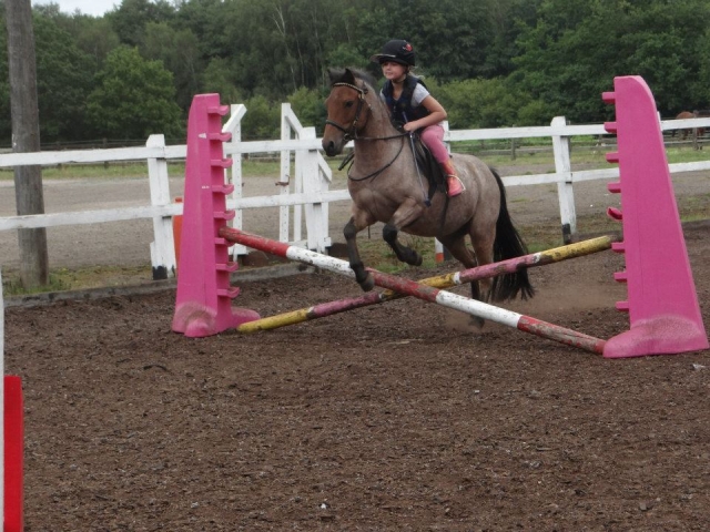 Aprenda nueva habilidades con Chobham Equestrian Center 