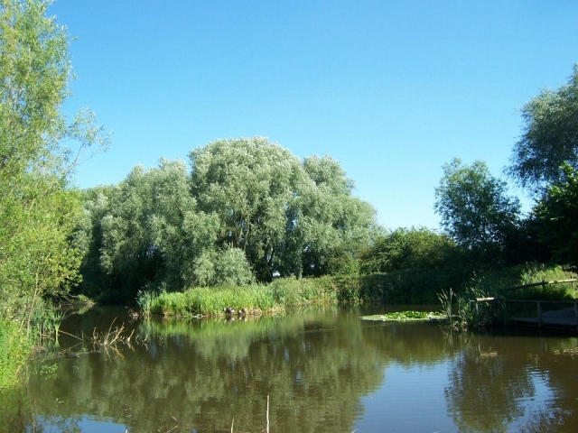 Siéntese y espere a que el pez muerda. 