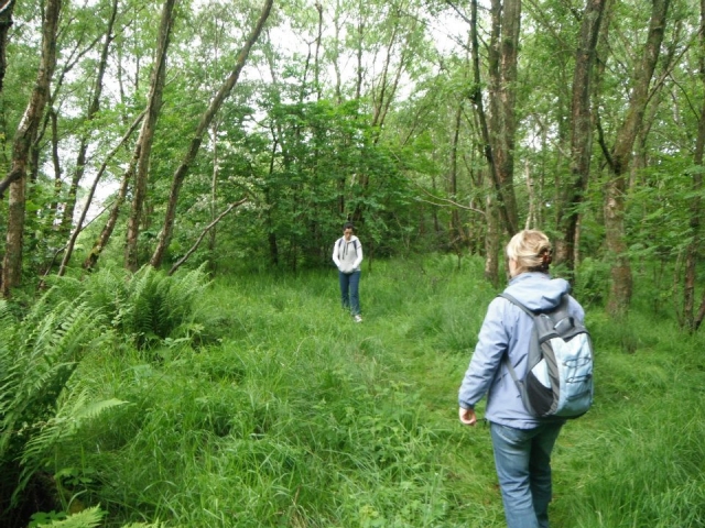 El camicrema es una excelenle manera de relajarse.