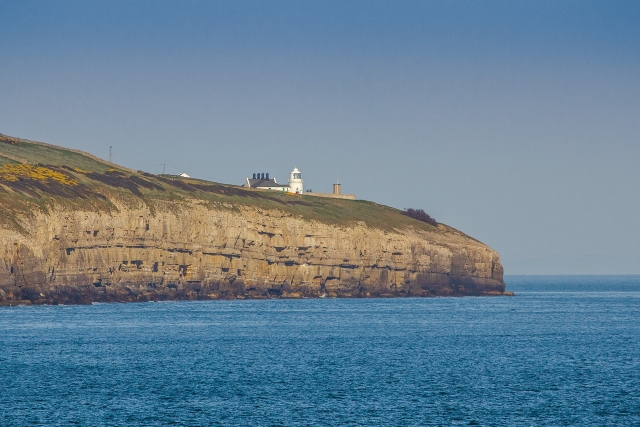  faro