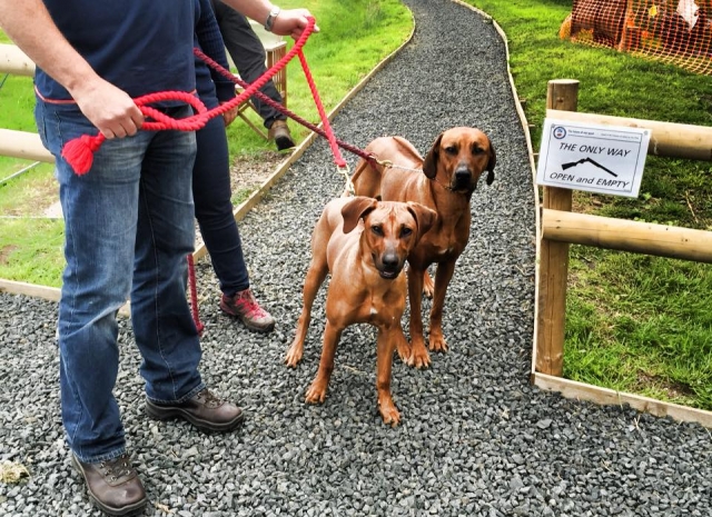  Amigos peludos para ir a disparar