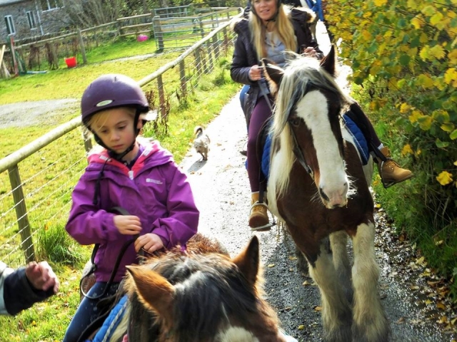  Trekking con Pony y Cuatrimoto Trek 