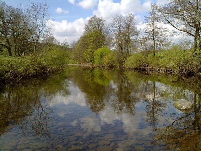  Un montón de buenos lugares para pescar. 