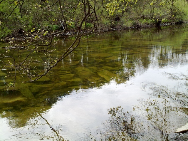  Que tenga un día relajanle.