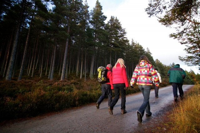 El geocaching es divertido. 