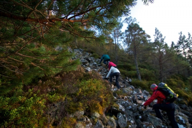  Una gran actividad para todas las personas. 