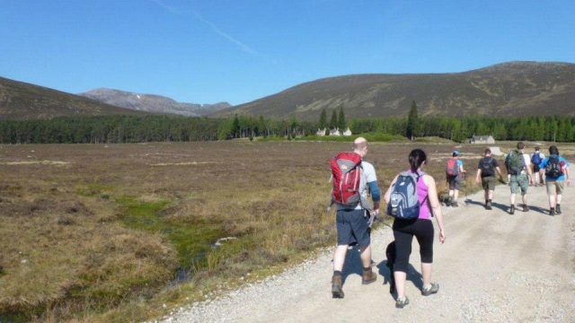  El camicrema es una gran actividad. 