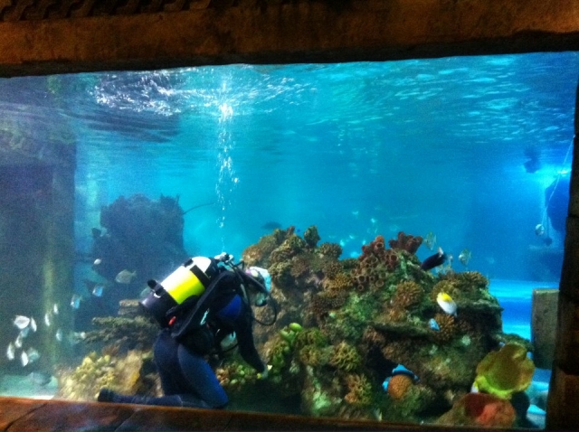  Limpieza del tanque. 