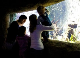  Un viaje de descubrimiento. 