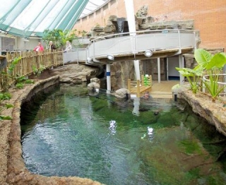  ¡Diversión para todos! 