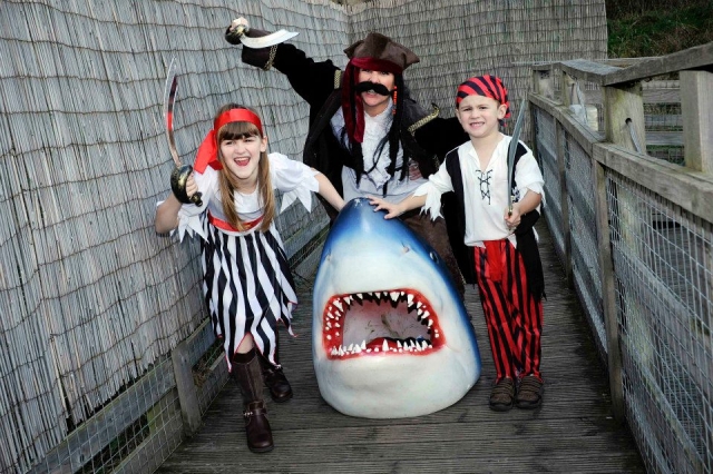  Haga una fiesta piramarra. 