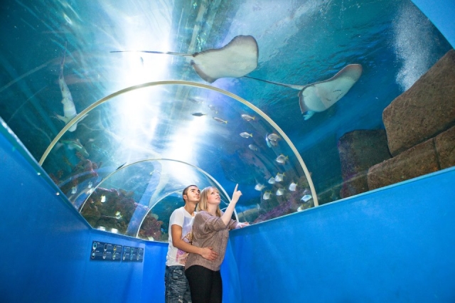 Una gran experiencia. 